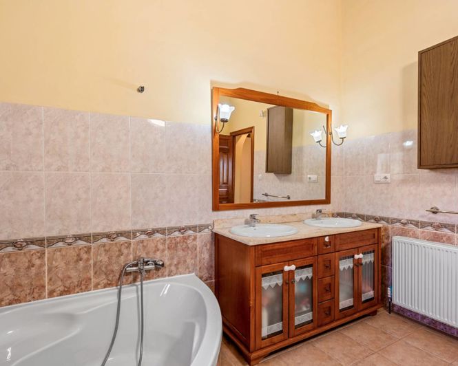Image No.19-3 Bed Finca for sale