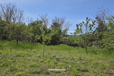 Bulgarian house for sale in Gorsko Ablanovo (134)