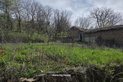 Bulgarian house for sale in village Zvezda (22)