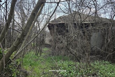Bulgarian property for sale in village Palamartsa (19)