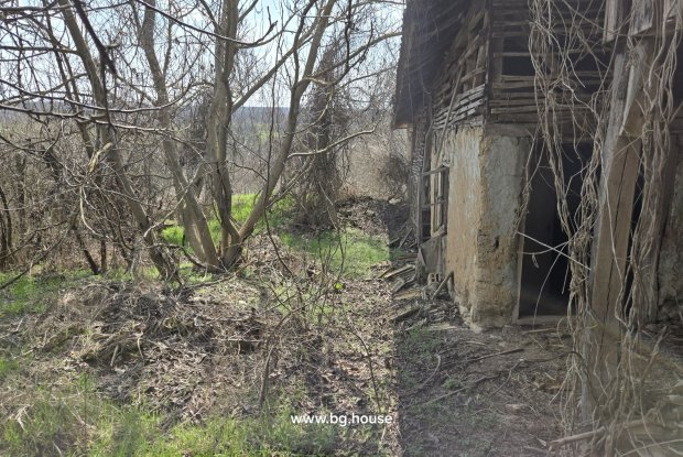 Image No.14-3 Bed House for sale