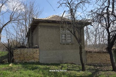 Bulgarian property for sale in village Palamartsa (3)