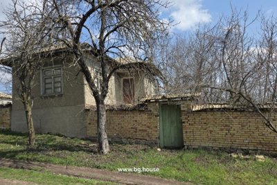 Bulgarian property for sale in village Palamartsa (5)