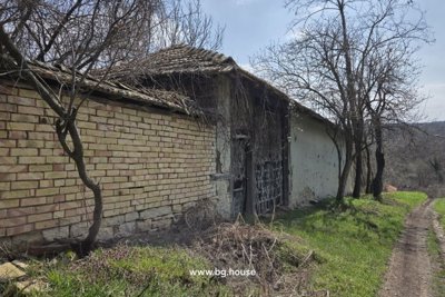 Bulgarian property for sale in village Palamartsa (12)