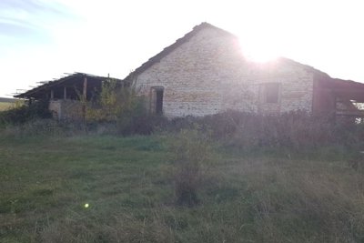 Bulgarian Farm for Sale in Palamartsa (14)