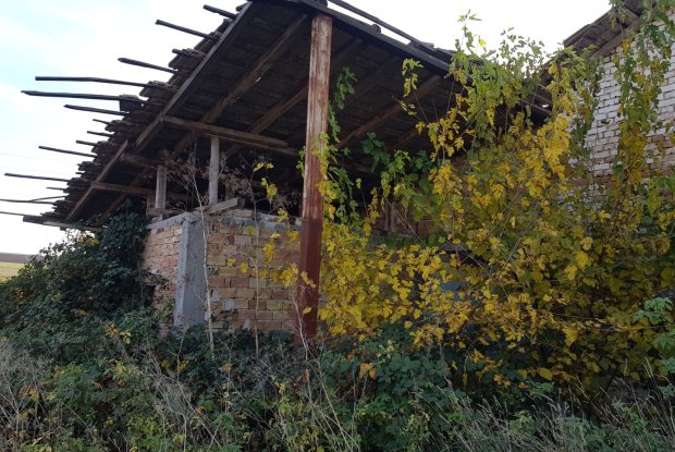 Image No.13-Farmhouse for sale