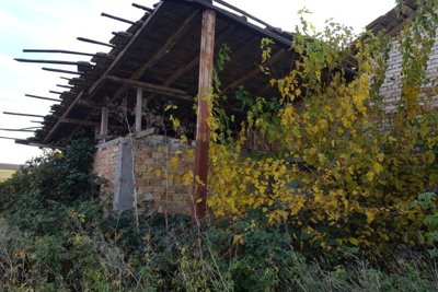 Bulgarian Farm for Sale in Palamartsa (16)