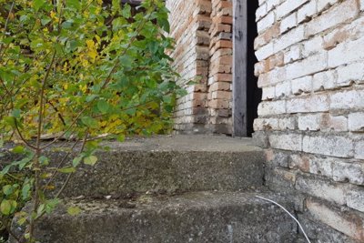 Bulgarian Farm for Sale in Palamartsa (17)