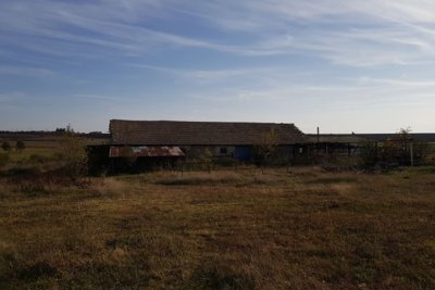 Bulgarian Farm for Sale in Palamartsa (7)