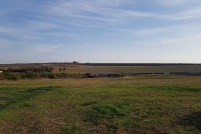 Bulgarian Farm for Sale in Palamartsa (2)