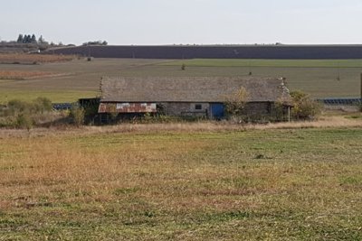 Bulgarian Farm for Sale in Palamartsa (4)