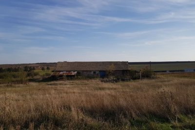 Bulgarian Farm for Sale in Palamartsa (5)