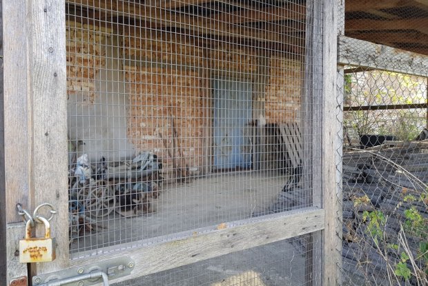 Image No.8-Farmhouse for sale