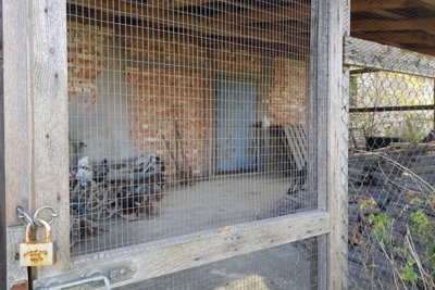 Bulgarian Farm for Sale in Palamartsa (11)