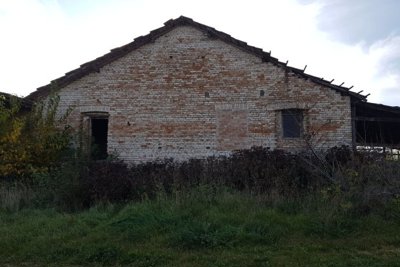 Bulgarian Farm for Sale in Palamartsa (12)