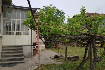 Bulgarian Bungalow For Sale Gorsko Ablanovo Bulgaria (27)