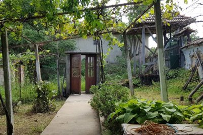 Wonderful bulgarian house for sale in village Voditsa (14)