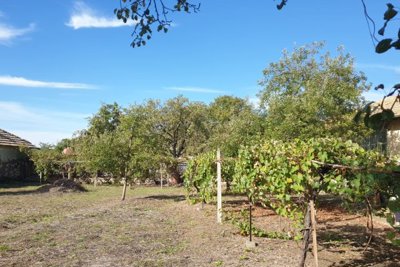 Sunny Corner House 1200 m2 Palamartsa (30)