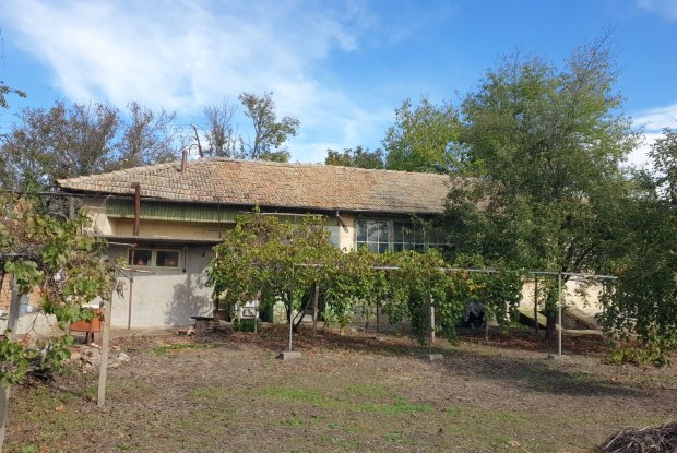 Image No.22-3 Bed House for sale