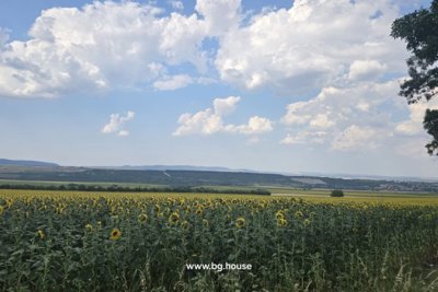 2 Bulgarian houses village Berkovski (14)