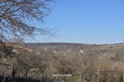 20260228_144207 – Copy – Copy