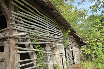 Bulgarian house for sale in village Sadina (17)
