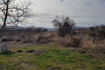 1 - Popovo, Property