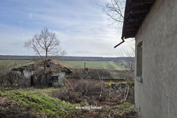 Image No.25-3 Bed House for sale