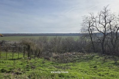 Cheap Bulgarian house for sale at the end of village Palamartsa (3)