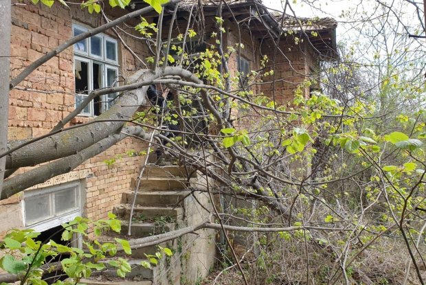Image No.11-3 Bed House for sale