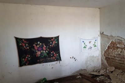 Bulgarian house for sale in village Gorotsvet (23)