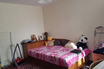A small Bulgarian house for sale in the village of Gorotsvet (23)