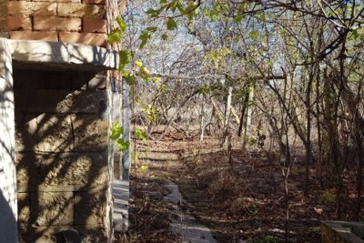 Bulgarian house for sale in the village of Gorotsvet (5)