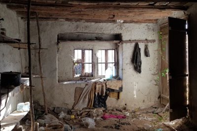 Rural Bulgarian house for sale in village Palamartsa (23)