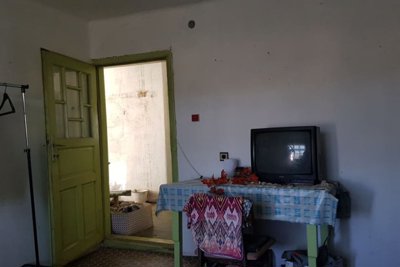 Lovely Bulgarian house for sale in village Blagoevo (4)