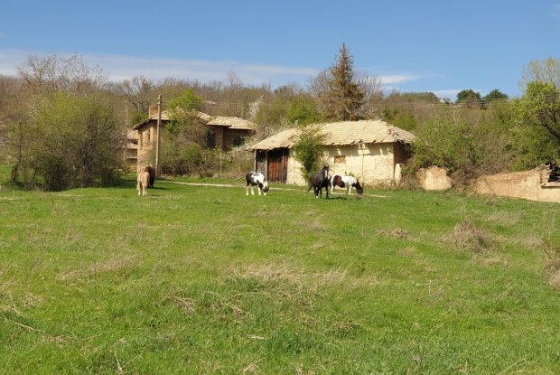 Image No.2-3 Bed House for sale