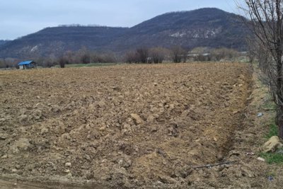 Bulgarian plot for sale with 25 000 m2 land in regulation (6)