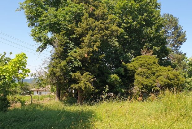 Image No.13-Property for sale