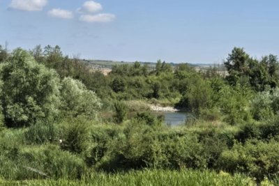 Bulgarian investment 50 000 m2 for sale village Kardam (20)