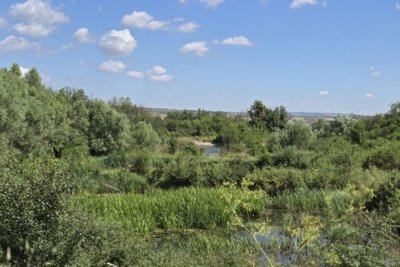 Bulgarian investment 50 000 m2 for sale village Kardam (22)
