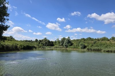 Bulgarian investment 50 000 m2 for sale village Kardam (31)
