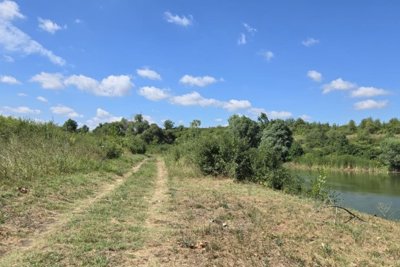 Bulgarian investment 50 000 m2 for sale village Kardam (8)