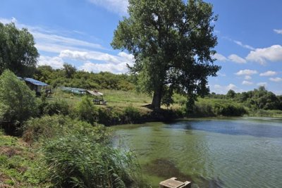 Bulgarian investment 50 000 m2 for sale village Kardam (13)