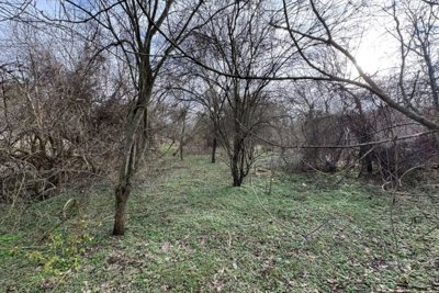 Old House for Sale in Village Balkanski (11)