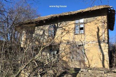 Bulgarian cheap house for sale 6500 m2 land village Razdeltsi (1)