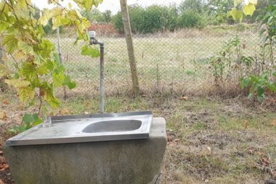Bulgarian house for sale in village Razdeltsi (15)