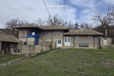 Bulgarian house for sale in village Kodsandenets (145)