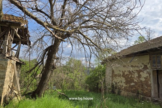 Image No.18-4 Bed House for sale