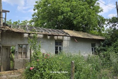 Bulgarian house for sale in village Goritsa (43)