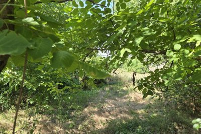 Lovely Bulgarian House for Sale in Village Katselovo (14)
